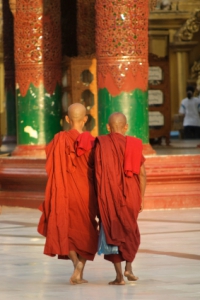 burma monks